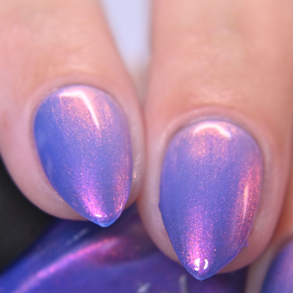Desert Lupine