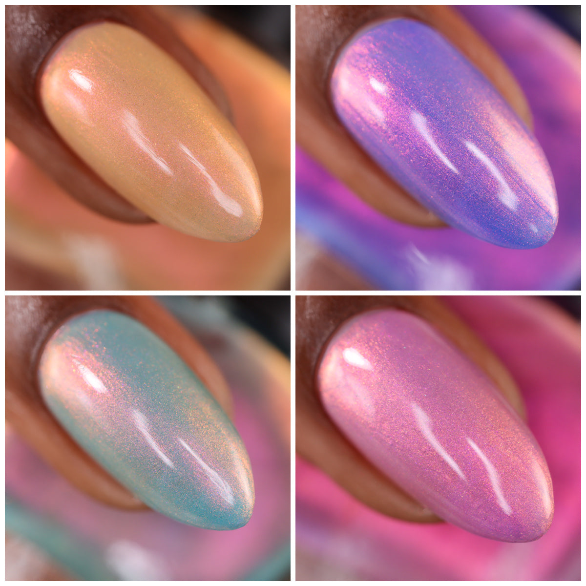 Desert Blooms 4-Piece Collection
